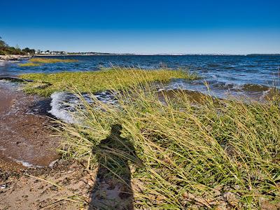 Sandee - Seidler Beach