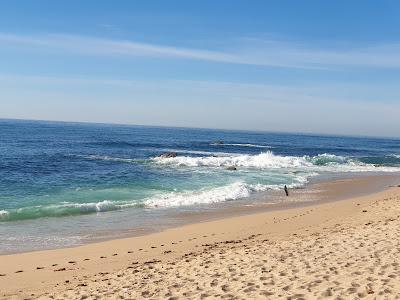 Sandee - Praia Do Leixao