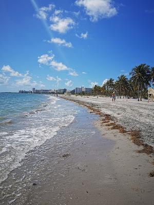 Sandee - Crandon Park Beach