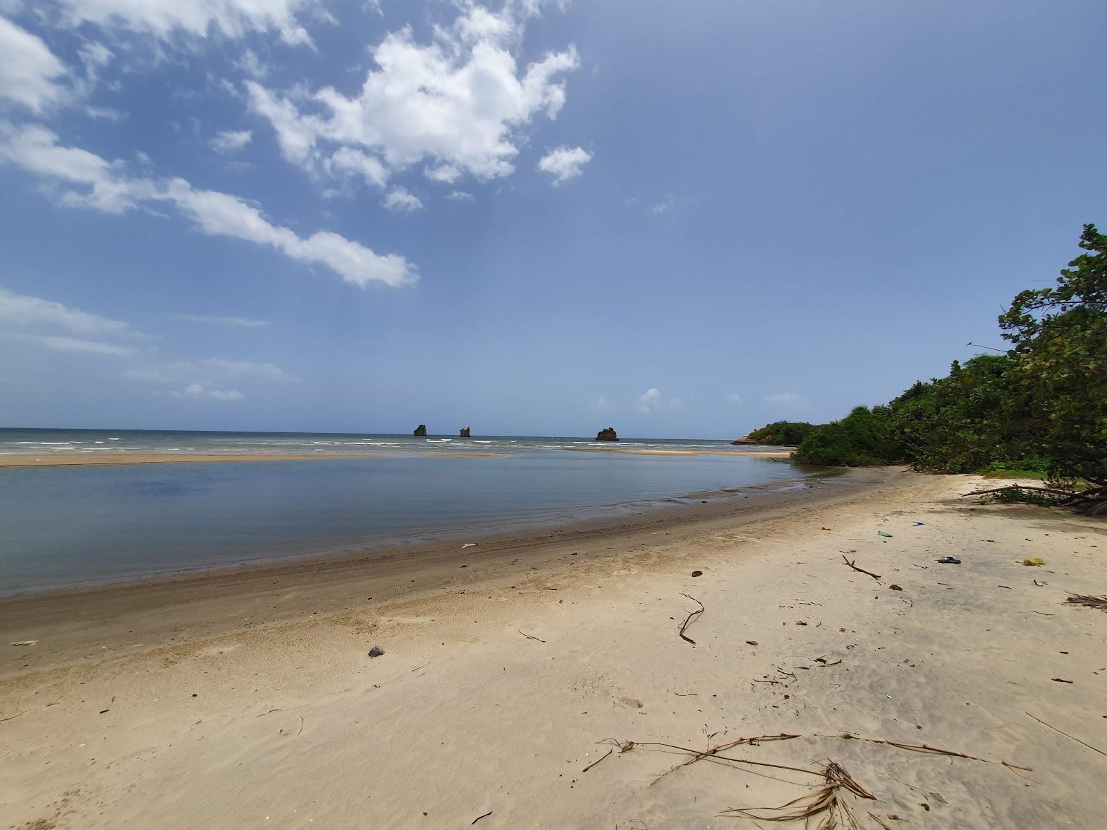 Sandee Columbus & Cedros Bays