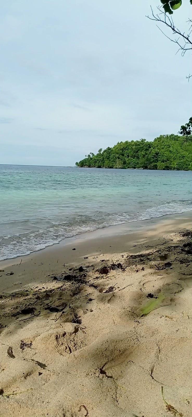 Sandee Pillayarkuppam Big Beach Photo