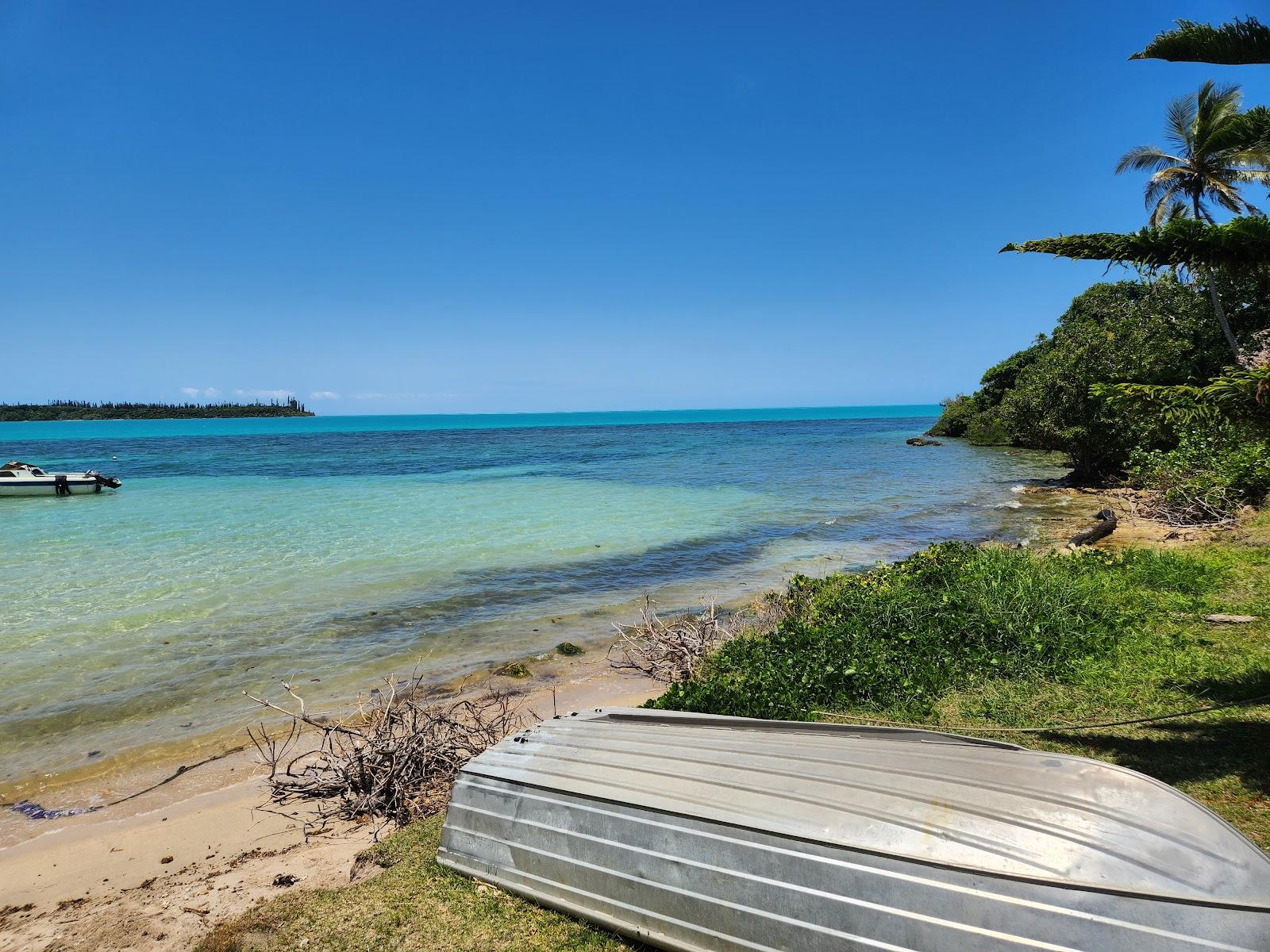 Sandee Saint Maurice