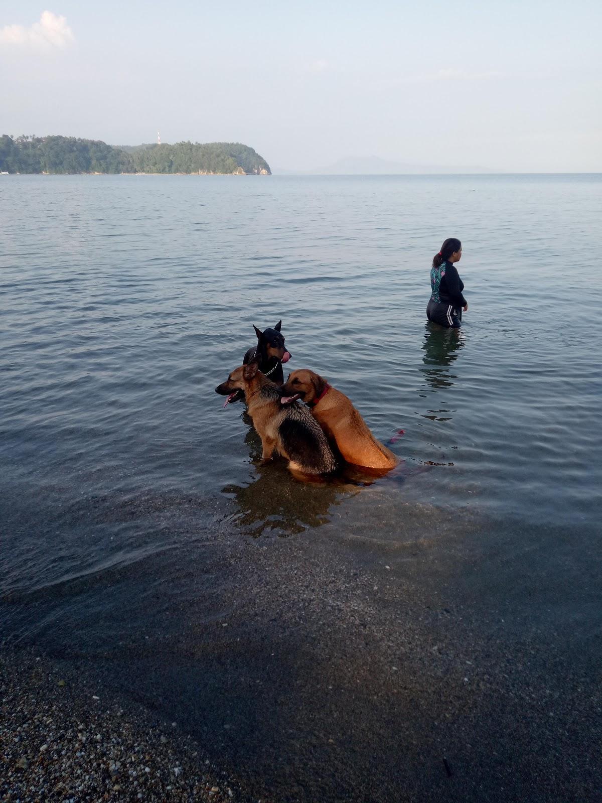 Sandee Garden Of Tabinay/Beach Resort Photo