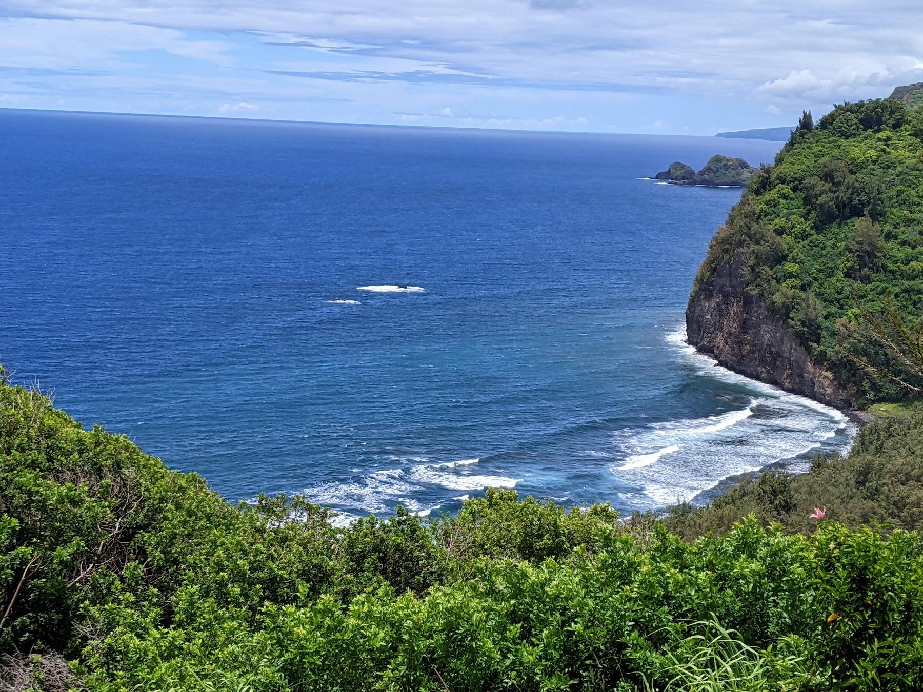 Sandee Banyan's Surfing Area Photo