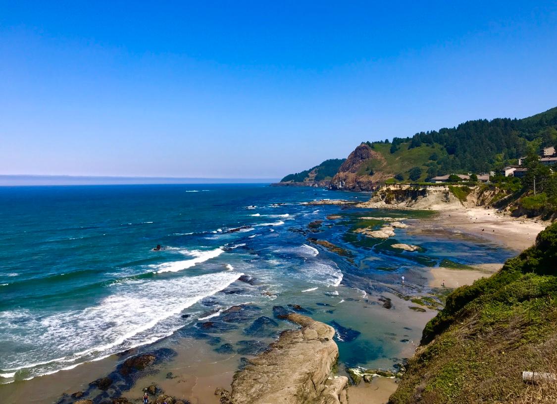 Sandee - Otter Crest Beach