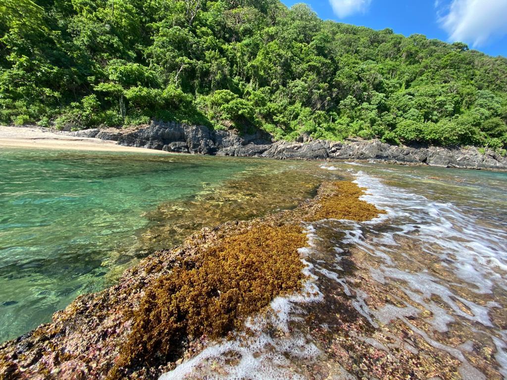 Sandee - Wachakyta Ecolodge Beach