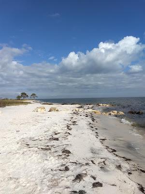 Sandee - Mashes Sands Beach