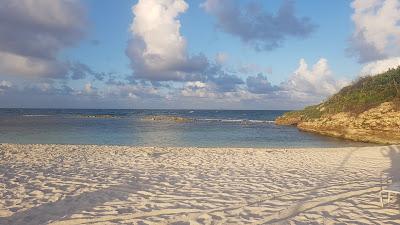 Sandee - Prickley Pear Island