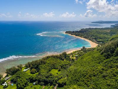 Sandee - Wainiha Bay