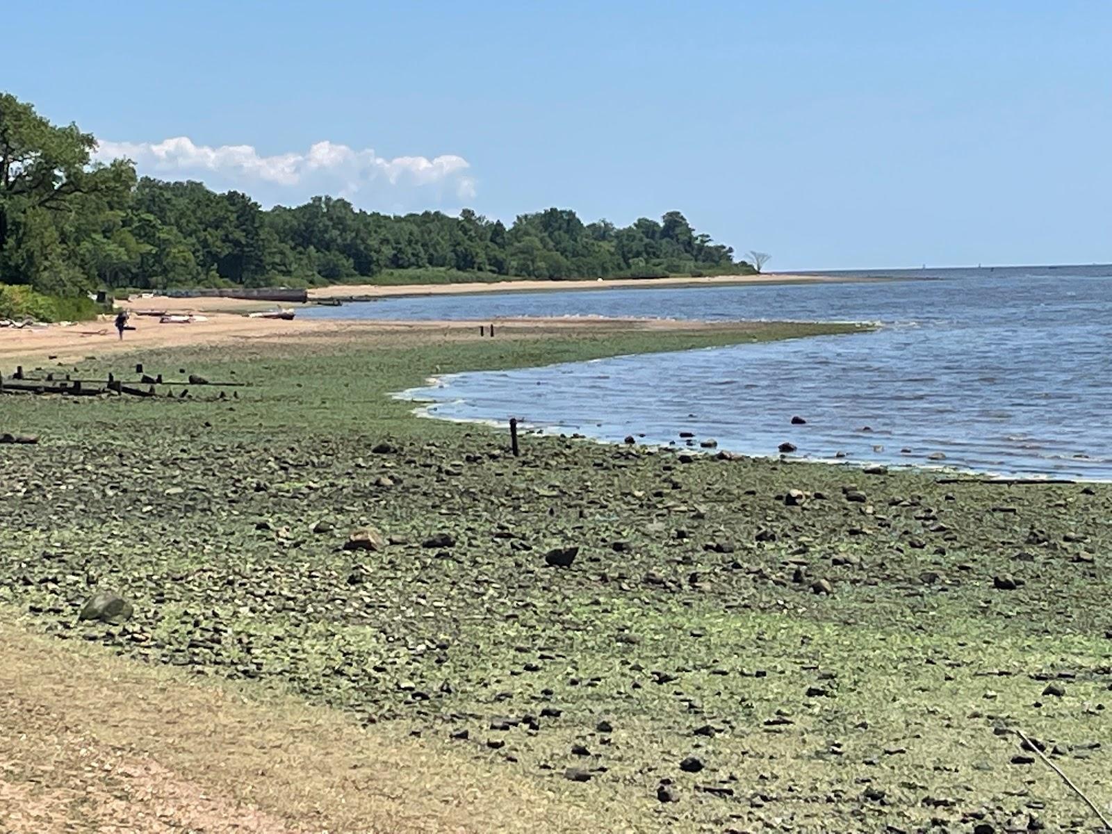 Sandee Robinsons Beach Photo