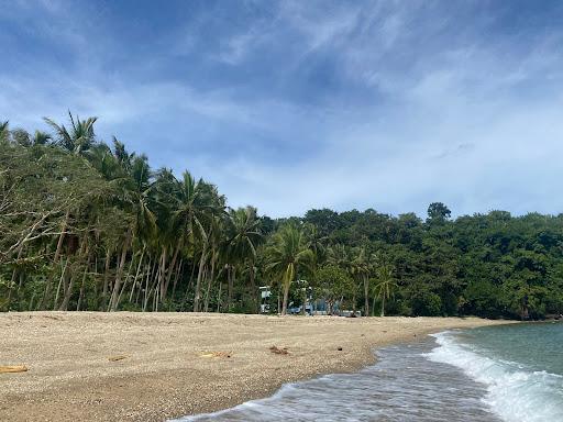 Sandee - Bulabod Beach