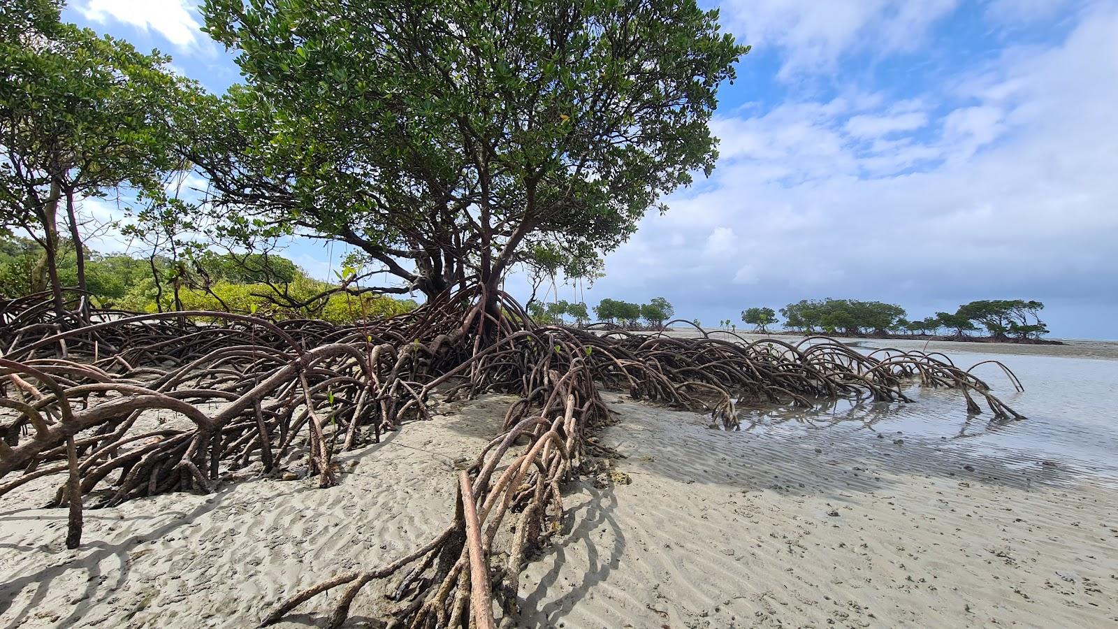 Sandee Cowie Beach