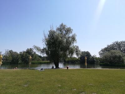 Sandee - Szigetcsepi Free Beach