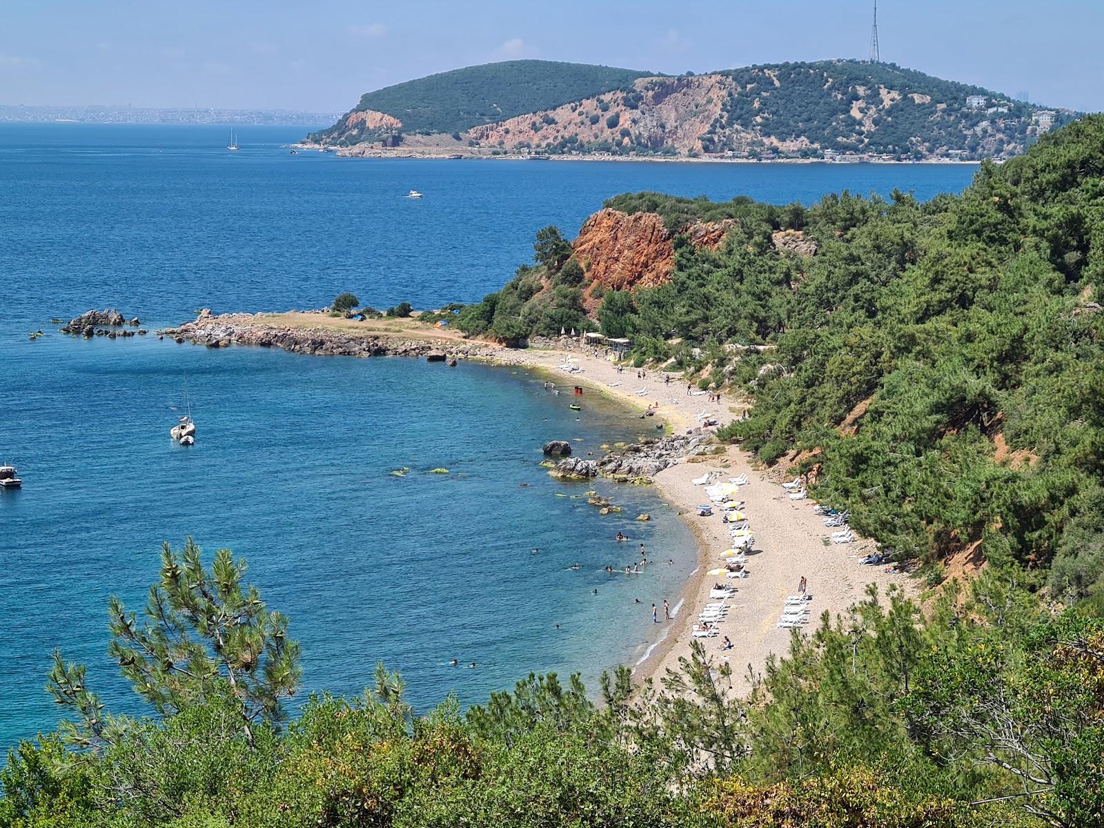 Sandee Prince Island
