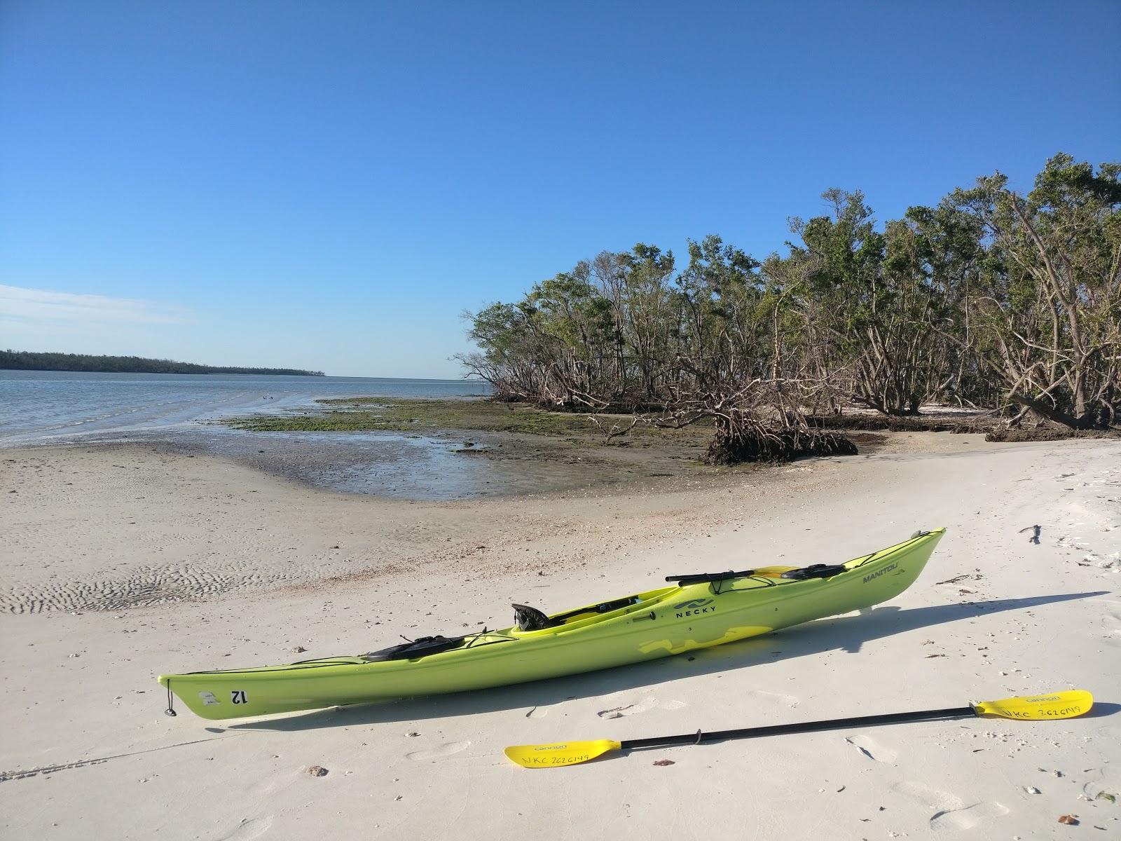 Sandee Turtle Key