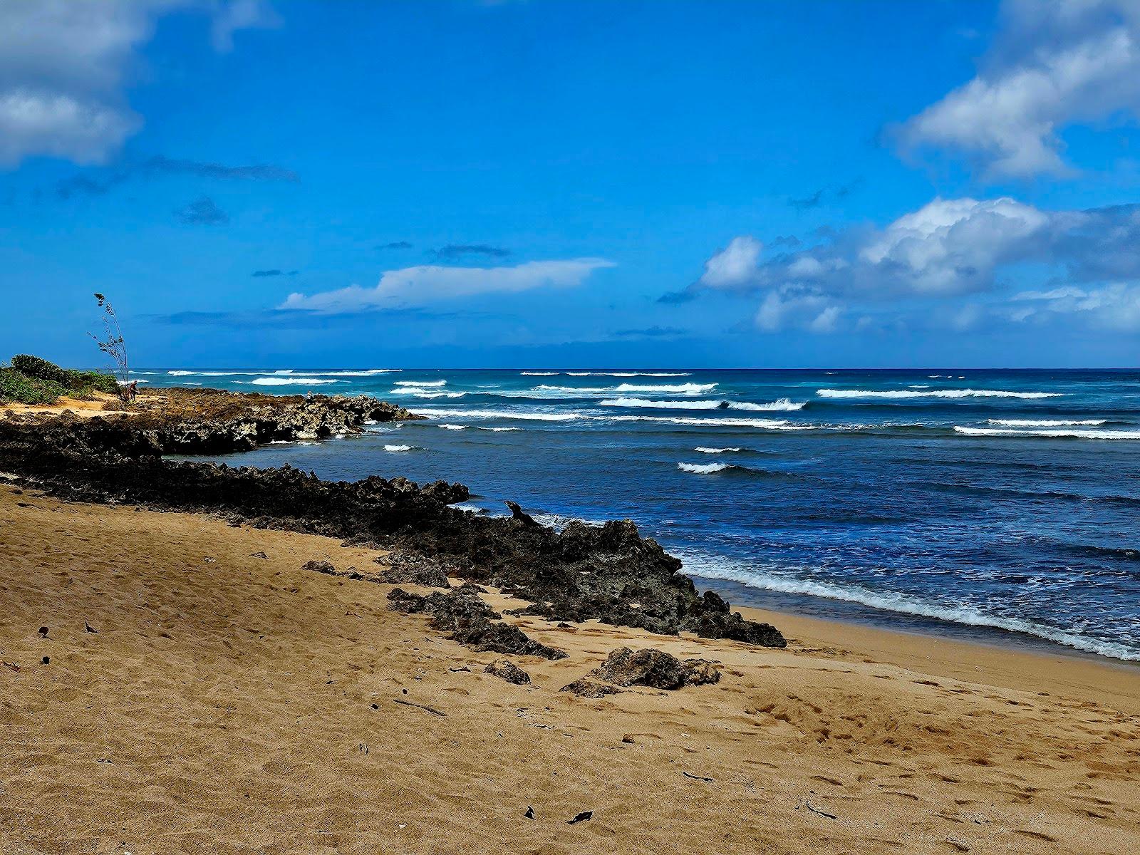 Sandee - Kaiaka Bay Beach Park