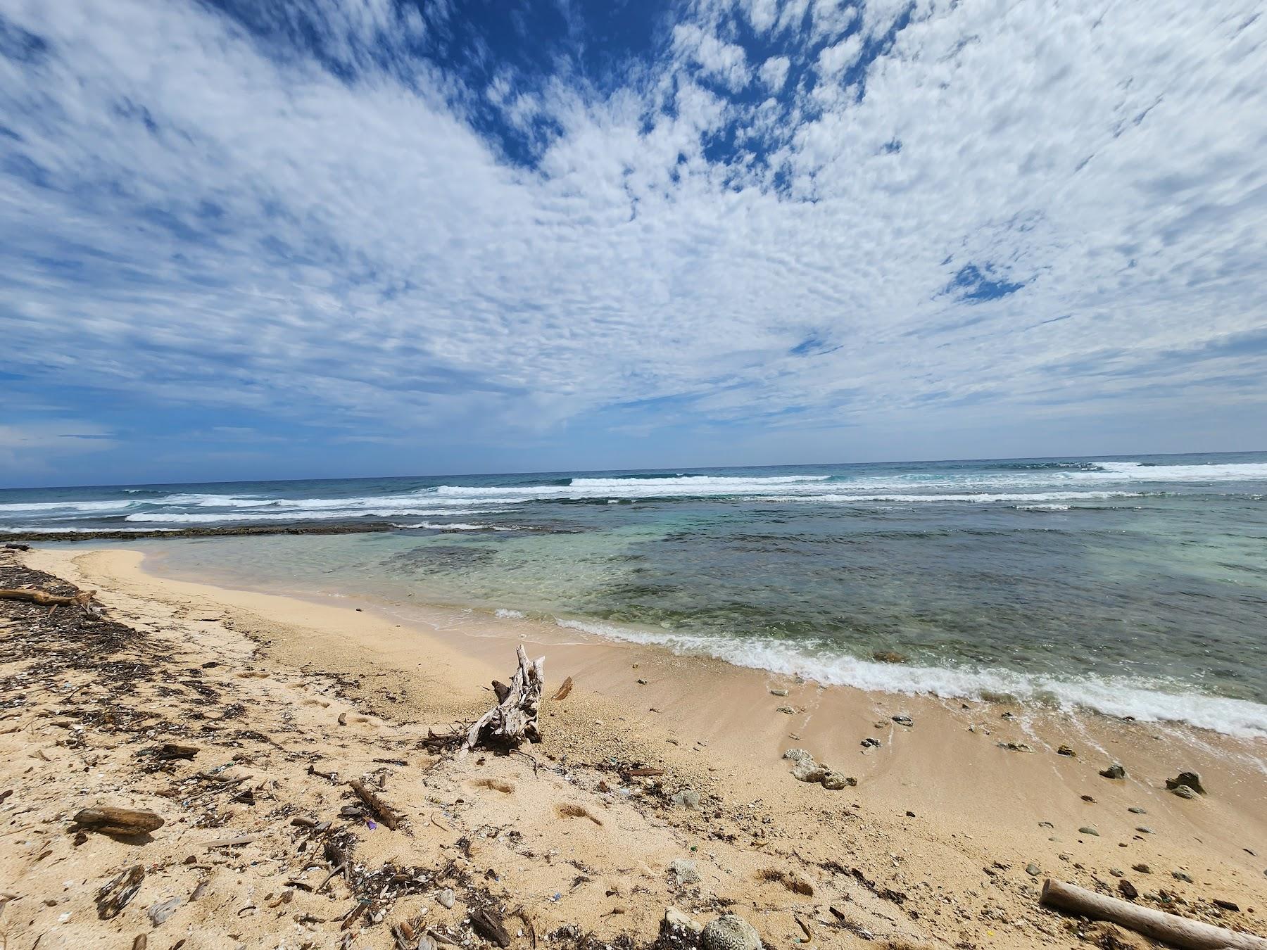 Sandee Pumpkin Hill Beach