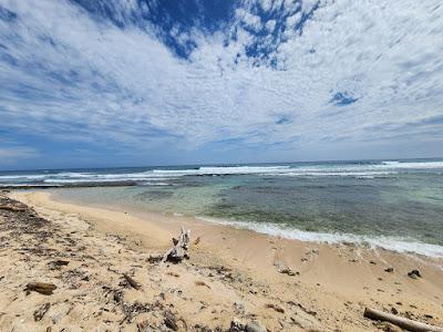 Sandee - Pumpkin Hill Beach