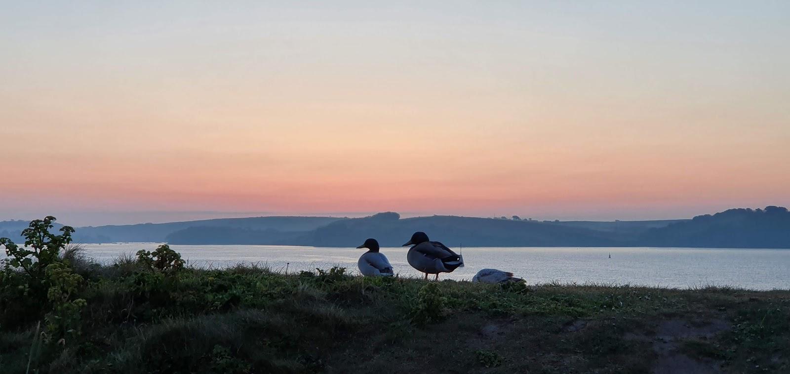 Sandee Trefusis Beach Photo