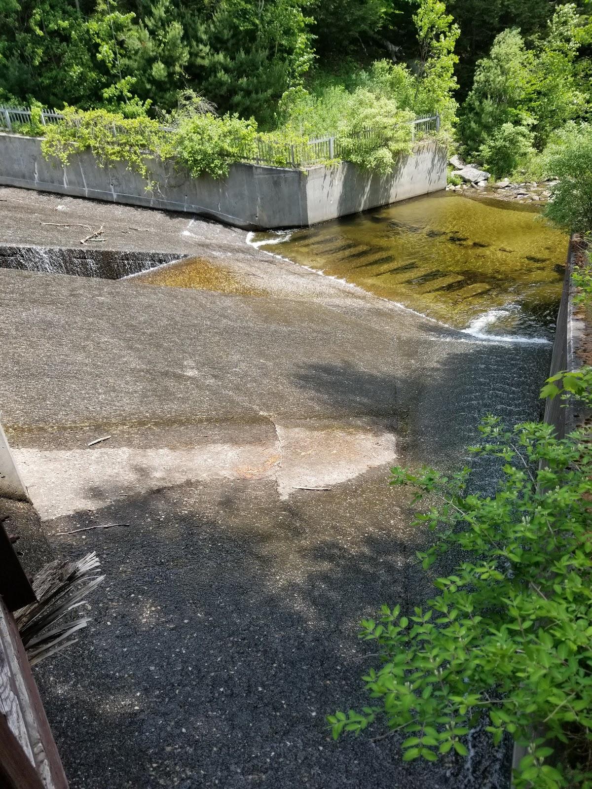 Sandee Hapgood Pond Campground