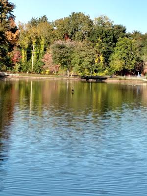 Sandee - Pine Lake Picnic Area