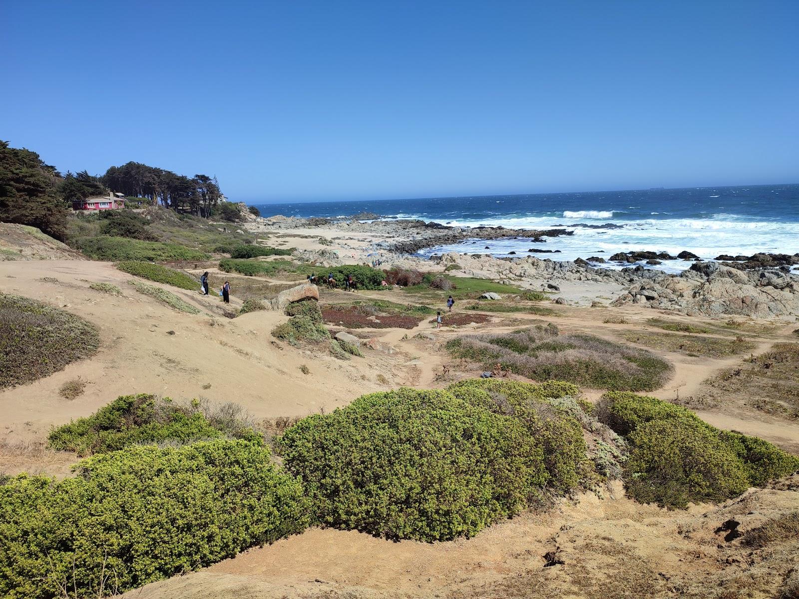 Sandee Playa Las Conchitas De Isla Negra Photo