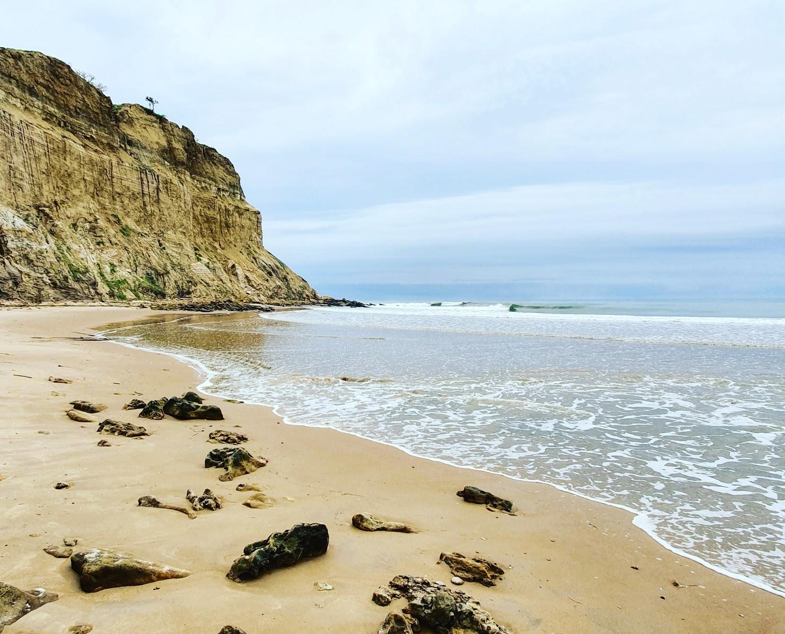 Sandee Praia Da Onca