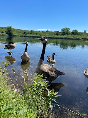 Sandee - Horseshoe Lake