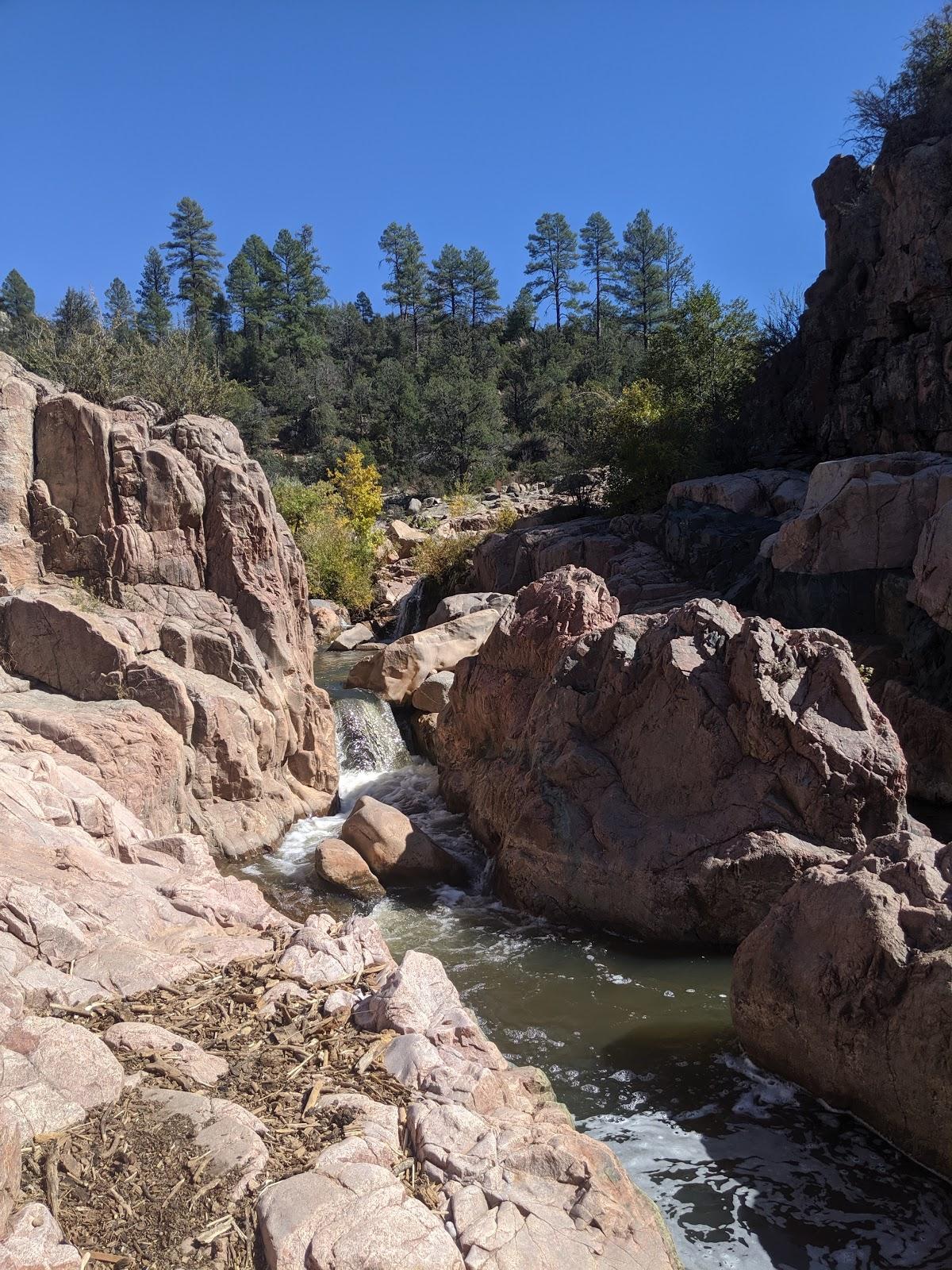 Sandee Tonto National Forest Photo