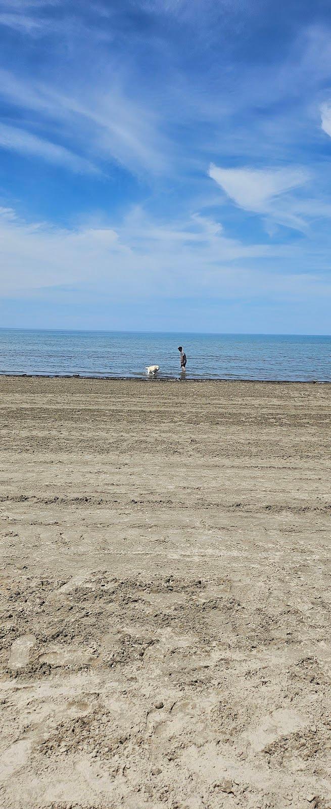Sandee Wasaga Beach Dog Park