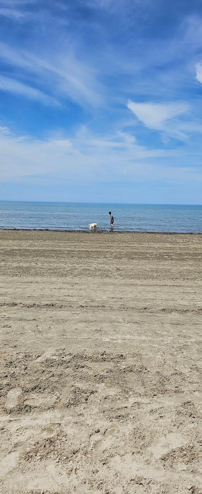 Sandee Wasaga Beach Dog Park Photo