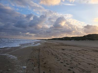 Sandee - Strandslag Julianadorp