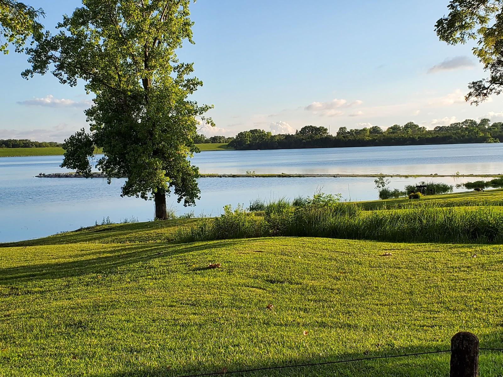 Sandee Wagon Train Lake State Recreation Area Photo