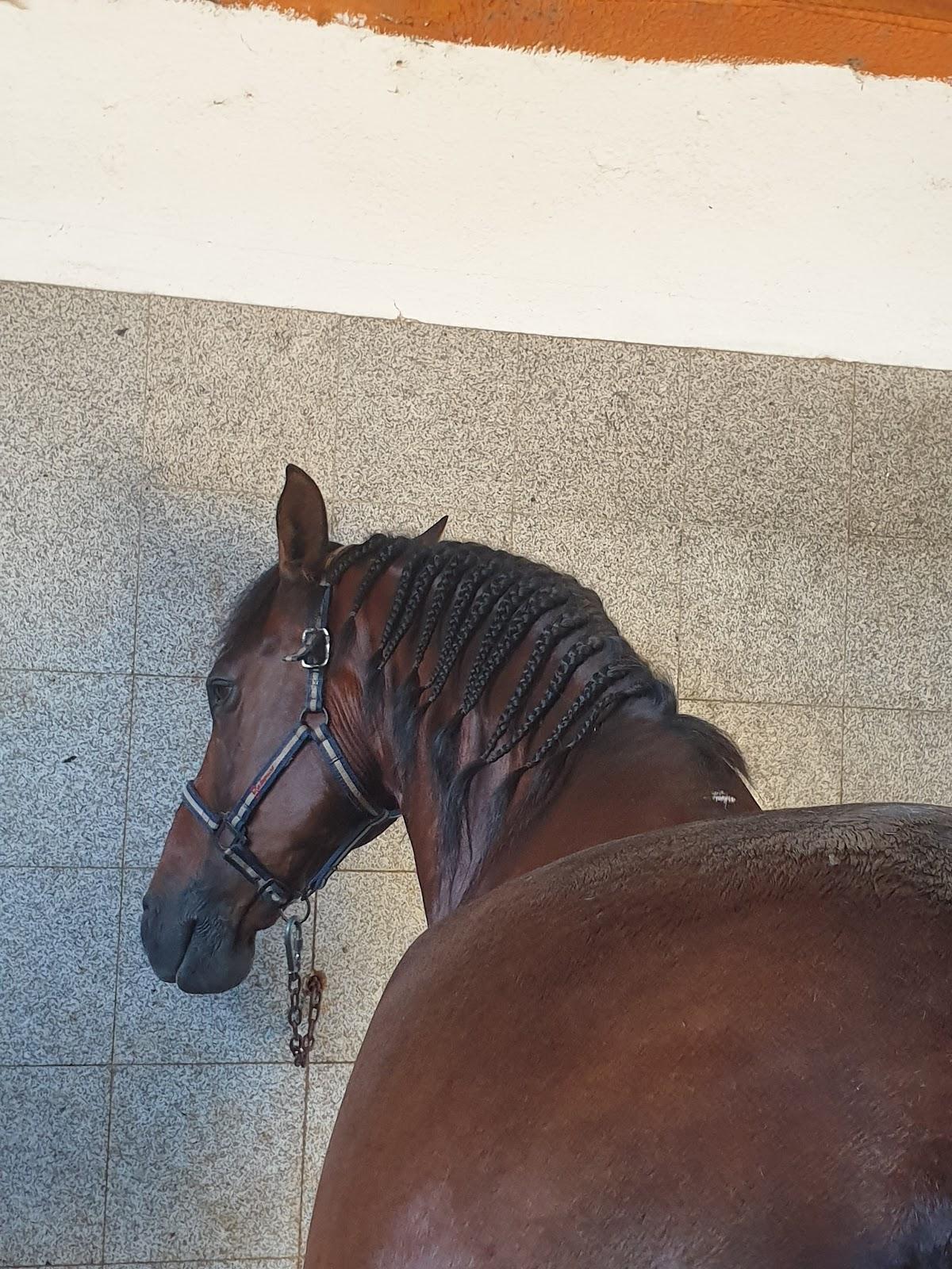 Sandee Do Cabalo