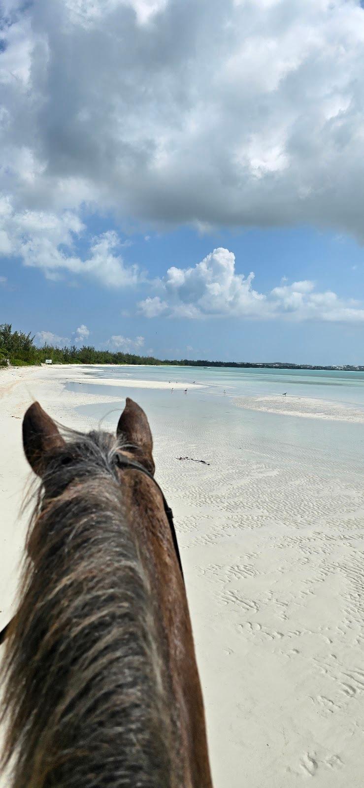 Sandee Five Cays Bay Photo