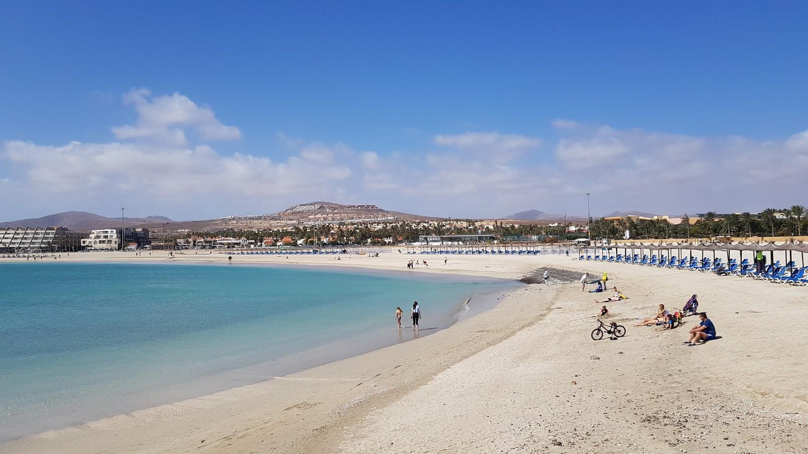 Sandee - Caleta De Fuste / El Castillo