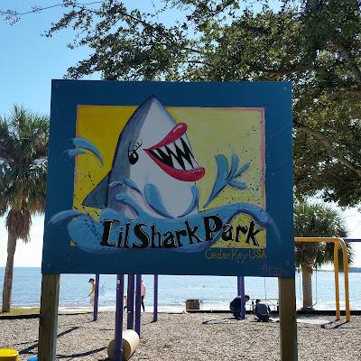 Sandee - Lil Shark Park