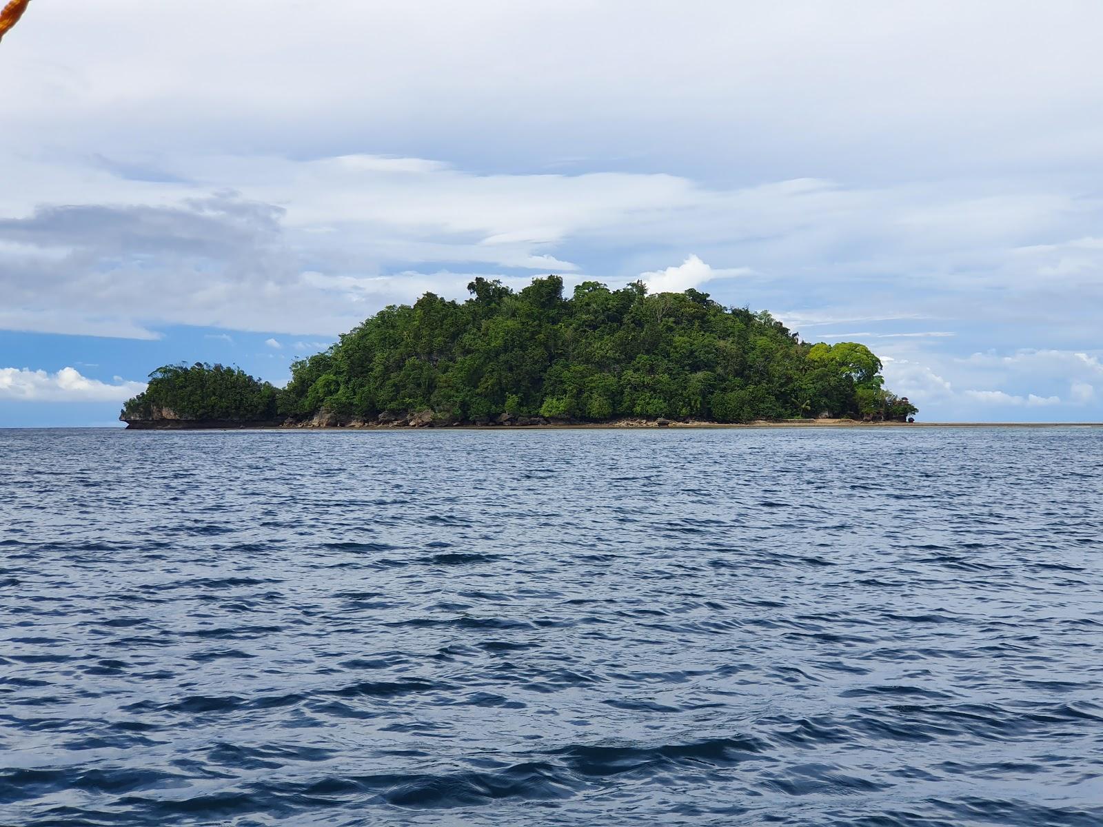 Sandee Turtle Island
