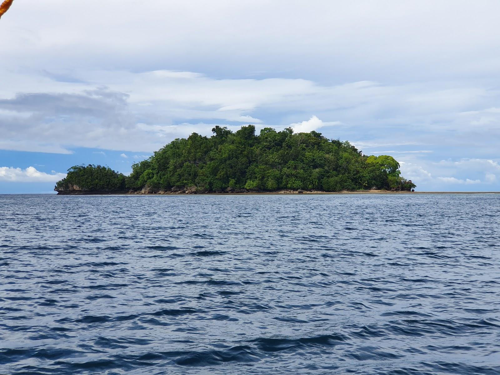 Sandee Turtle Island Photo