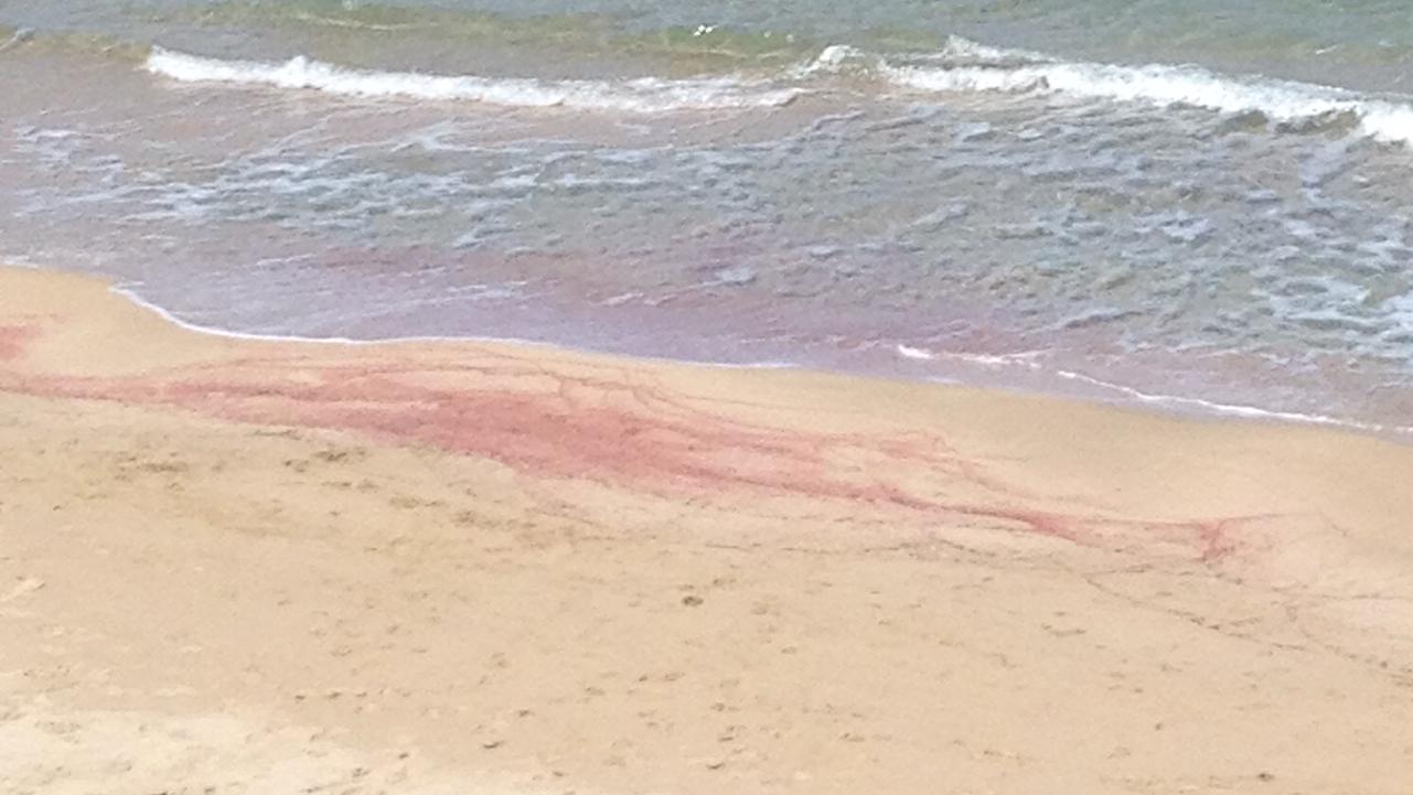 Sandee Spiaggia Naracu Nieddu