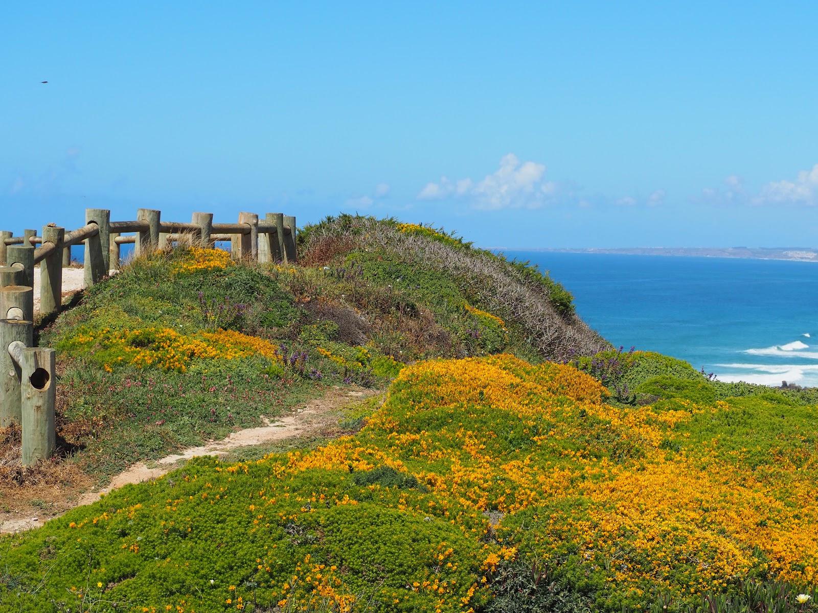 Sandee - Praia Alto Da Vela