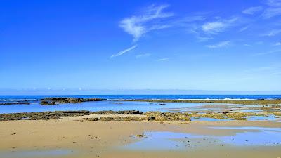 Sandee - El Chato Beach