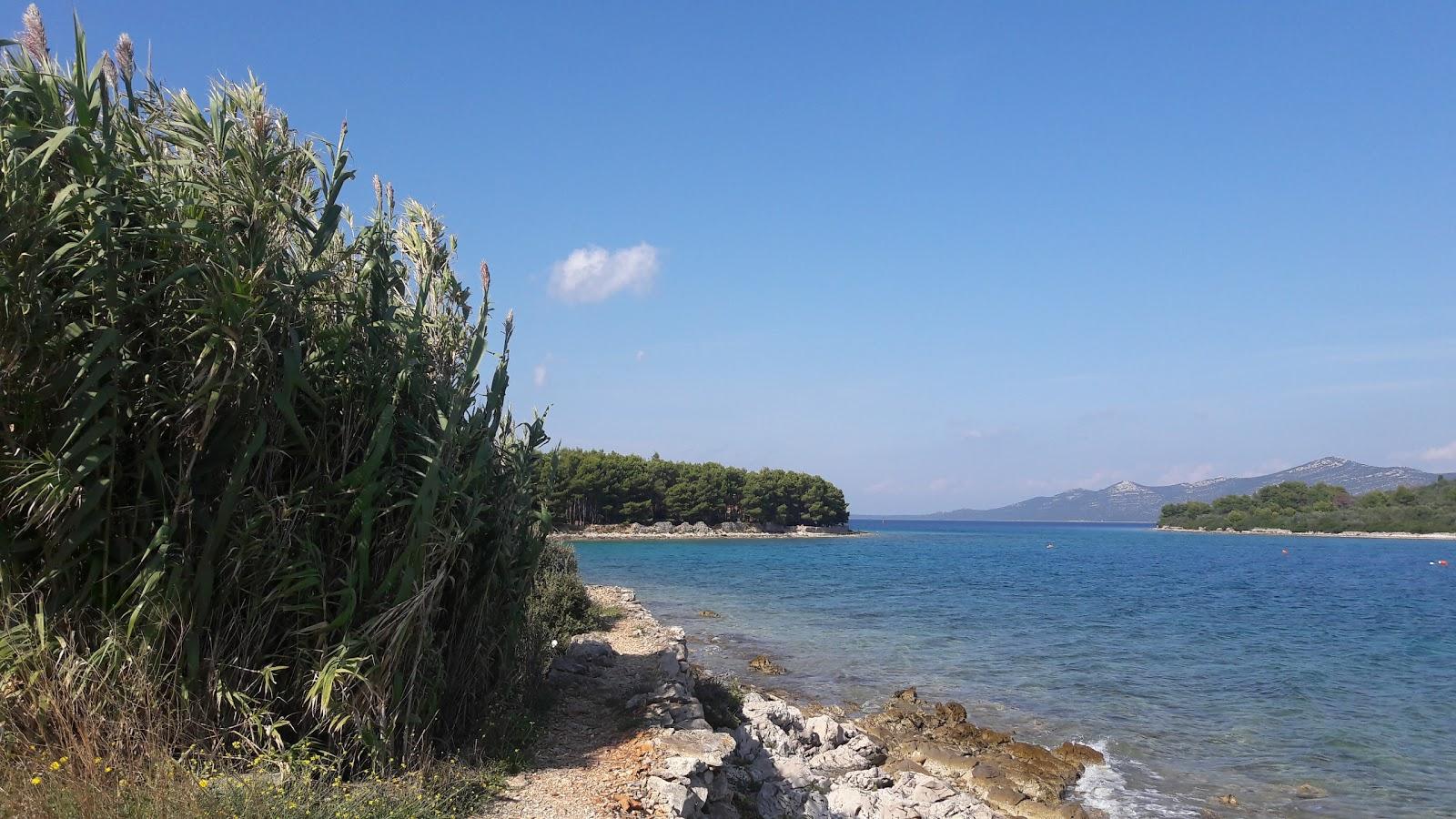 Sandee Rt Dolin Beach