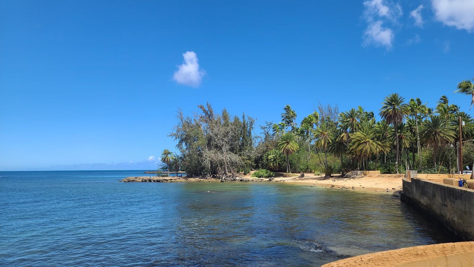 Sandee - Haleiwa Beach Park