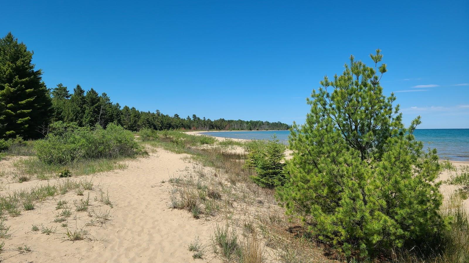 Sandee - Negwegon State Park Ossineke South Point