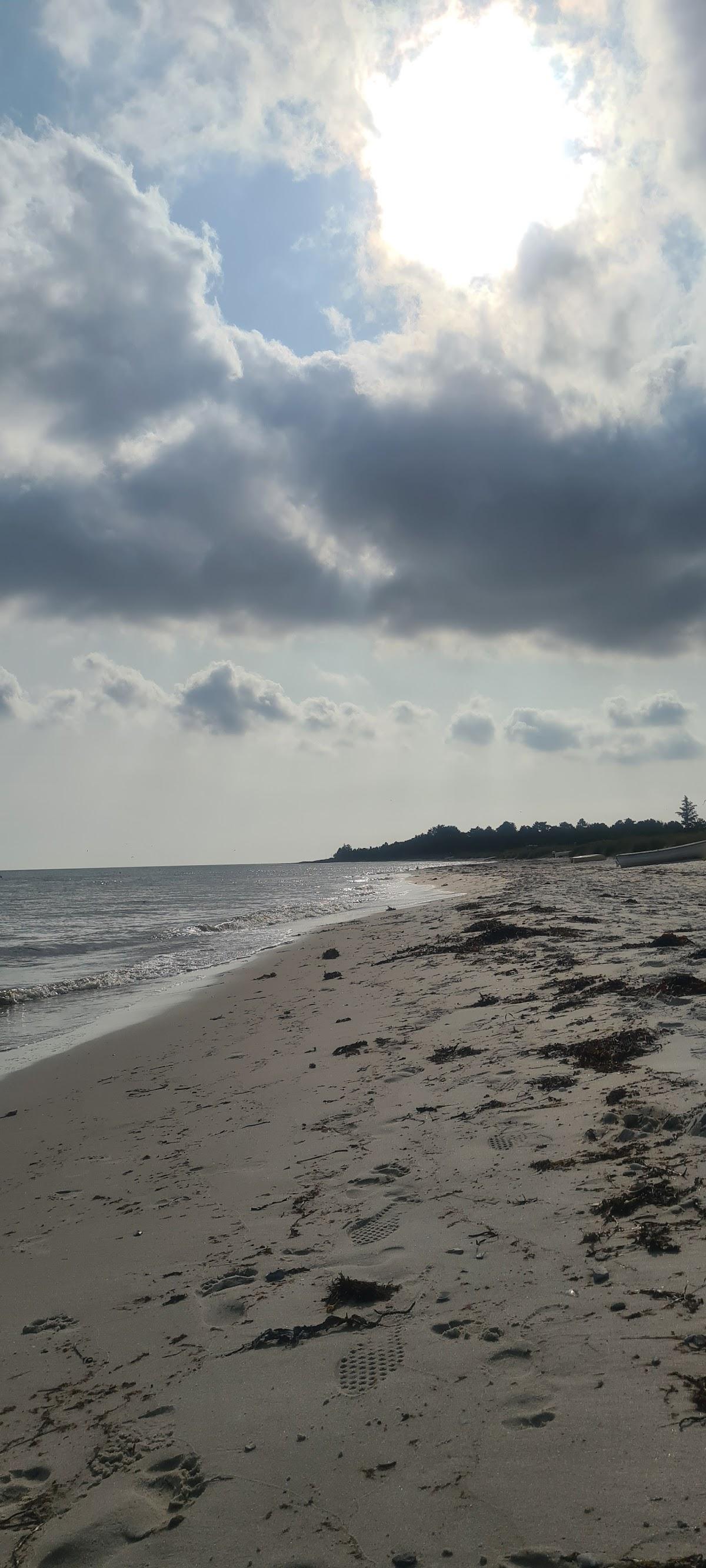 Sandee Saksild Beach Photo