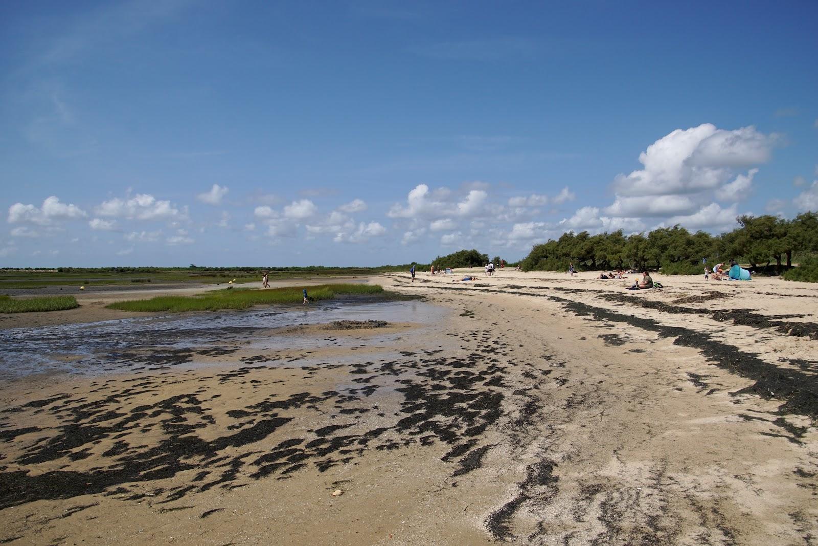 Sandee Plage De Graveyron