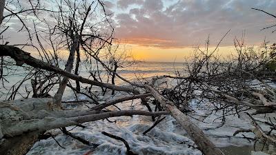 Sandee - Silver Key Beach