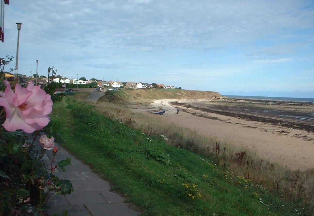 Sandee Bents Road-Pebble Beach Photo