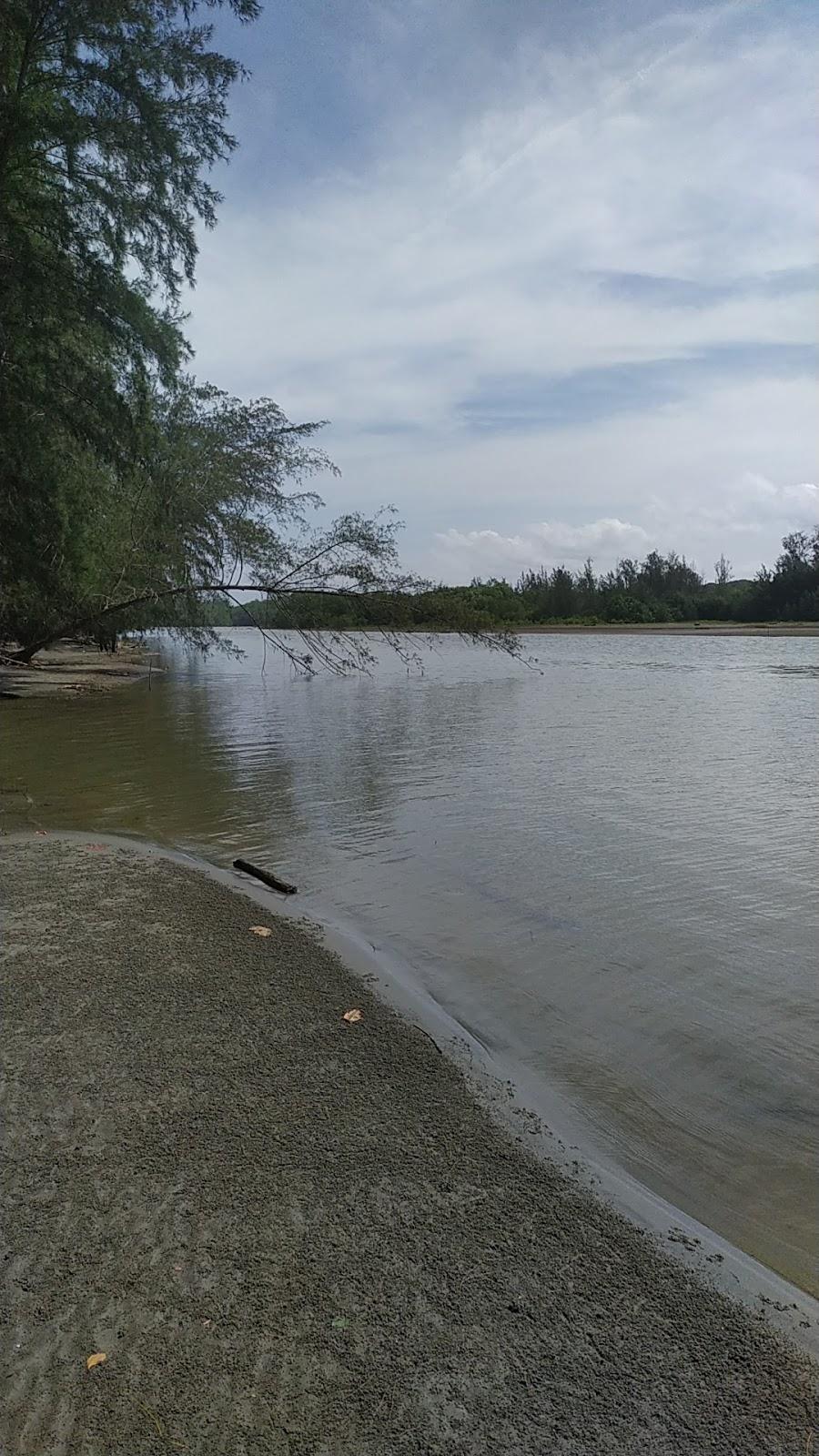 Sandee Hutan Cemara Ngalam